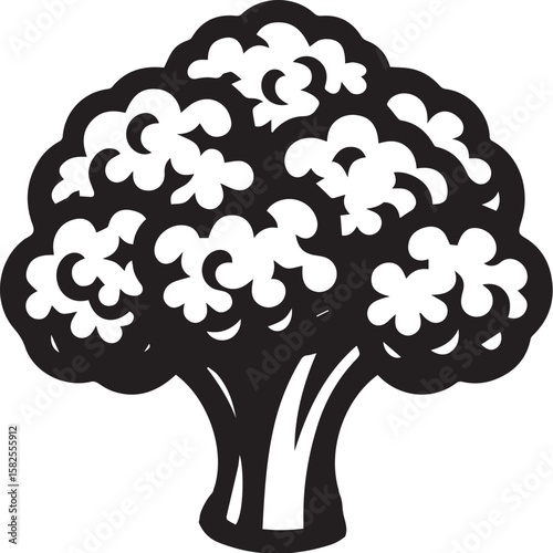 Illustration of a fresh cauliflower in black and white
