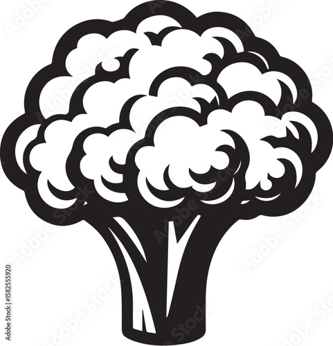 Illustration of a fresh cauliflower in black and white