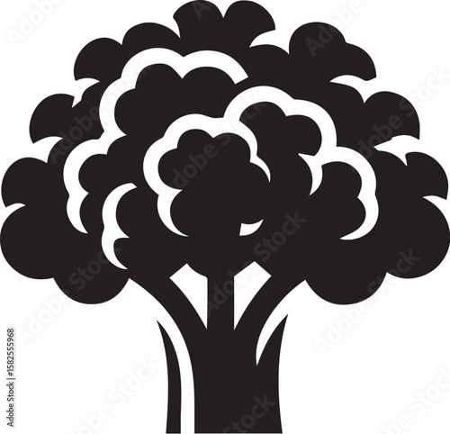 Illustration of a fresh cauliflower in black and white