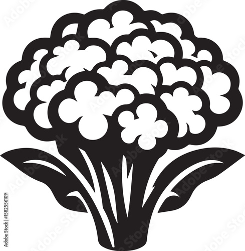 Illustration of a fresh cauliflower in black and white