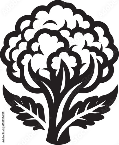 Illustration of a fresh cauliflower in black and white