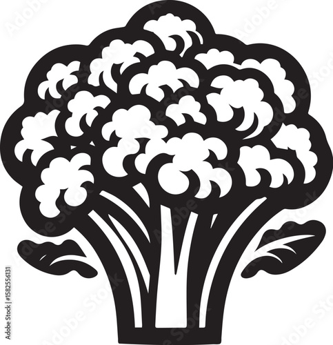 Illustration of a fresh cauliflower in black and white