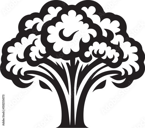 Illustration of a fresh cauliflower in black and white