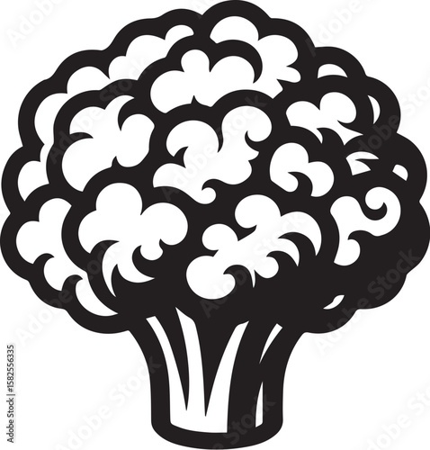 Illustration of a fresh cauliflower in black and white