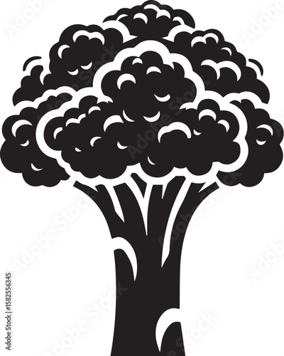 Illustration of a fresh cauliflower in black and white