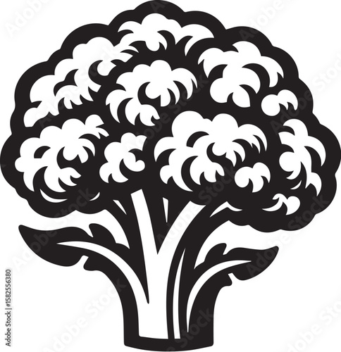 Illustration of a fresh cauliflower in black and white
