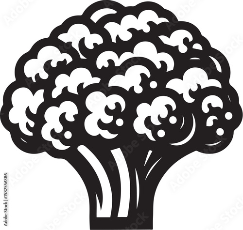 Illustration of a fresh cauliflower in black and white