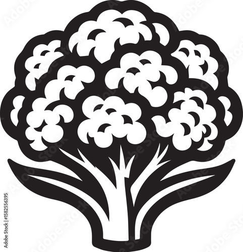 Illustration of a fresh cauliflower in black and white