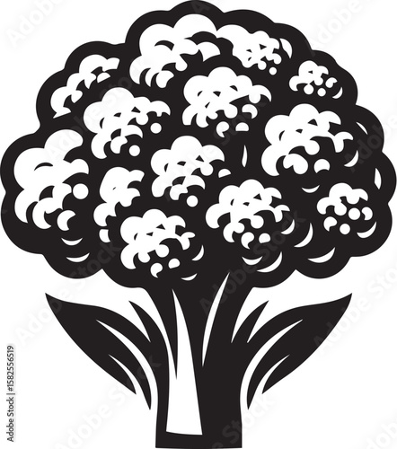 Illustration of a fresh cauliflower in black and white