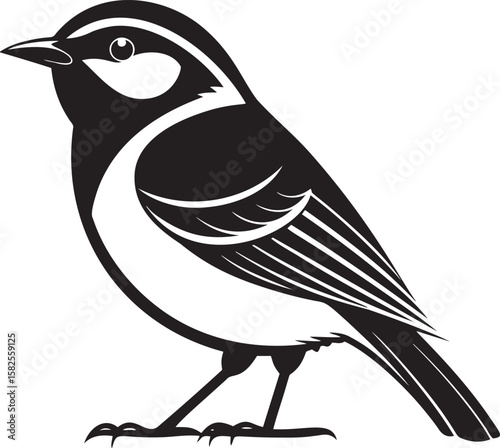 Black and white bird illustration avian