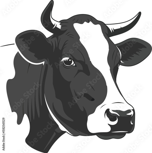 Majestic cow portrait showcases its distinct black and white markings and powerful horns, radiating a sense of farm animal beauty.