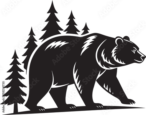 Black bear walking through pine trees grizzly bear