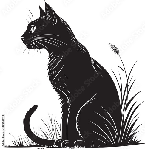 Black cat sitting in grass nature animal
