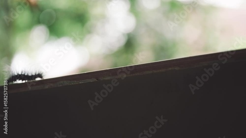 Furry caterpillar slowly crawling downward along a hard edge surface with green blurred background and soft natural light