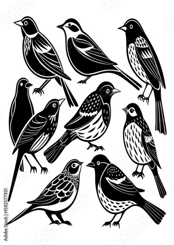 birds on a branch