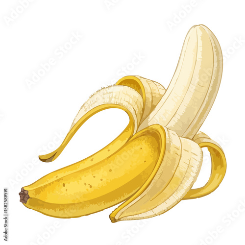 Peeled Banana – Isolated Vector Illustration on White Background