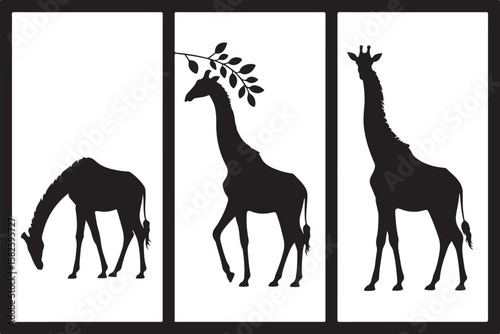 "Giraffe Trio in Silhouette"
"Elegant Giants in Harmony"
"Savanna Stroll: Giraffes in Black and White"