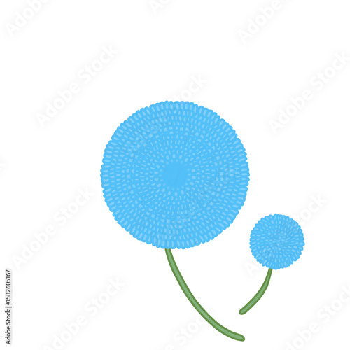 vector illustration of a flower