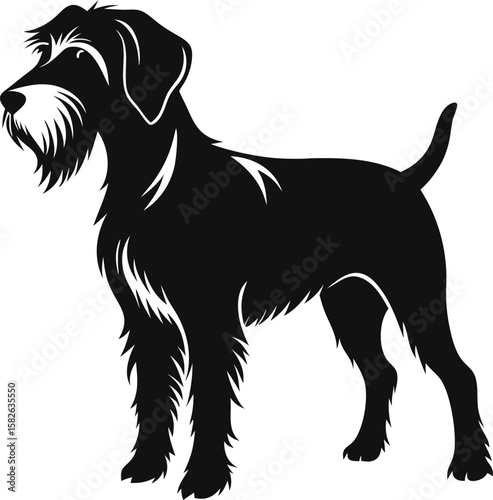 Wirehaired Pointing Griffon silhouette vector icon  black , white background 