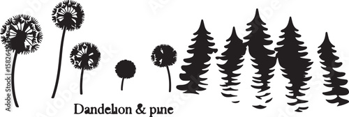 Diverse nature silhouettes: Dandelions and evergreens
