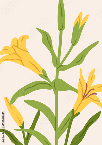 Lily flower branch, card design. Blooming floral plant with tender gentle pet...