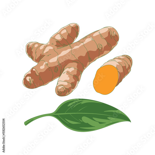 Vibrant Turmeric Root and Leaf A Culinary and Medicinal Marvel