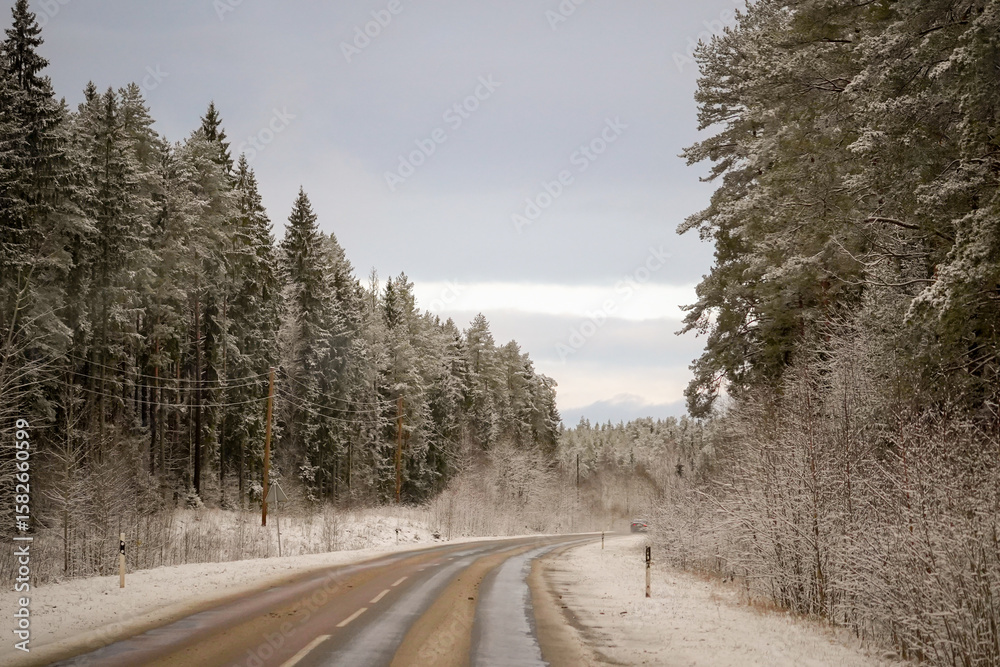 Fototapeta premium Road going through snowy needle tree forest with cloudy sky background, Latvia