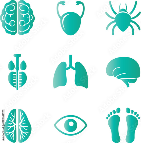 Collection of medical and biological icons including brain lungs eye feet and tick isolated on transparent background