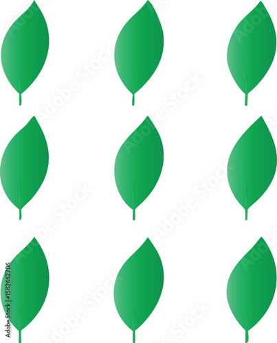 Nine green leaves arranged in a grid isolated on transparent background