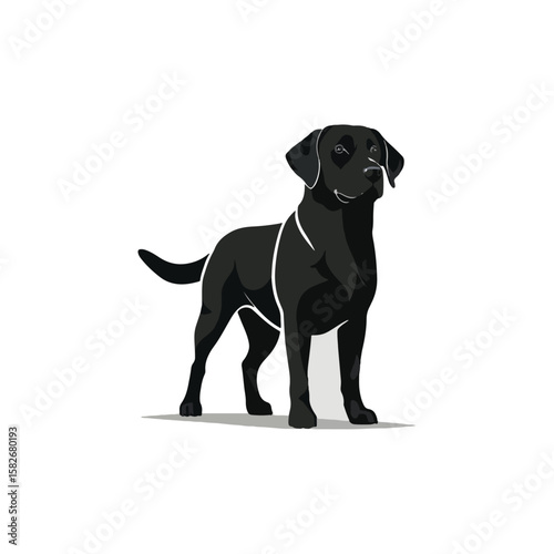 Standing Black Labrador Retriever dog, a proud black and white vector logo illustration isolated on a white background.

