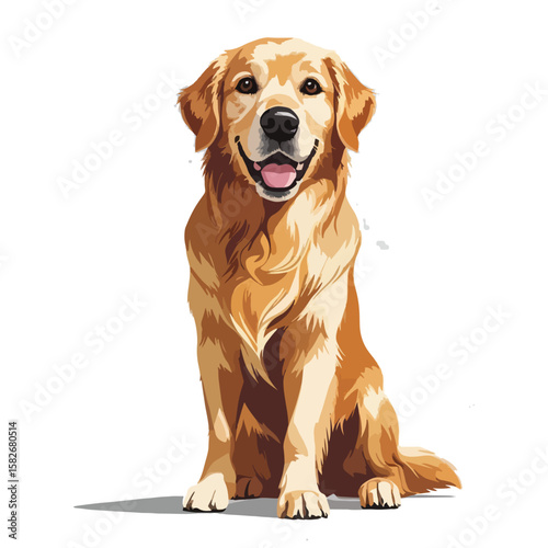 Happy Golden Retriever dog walking, a colorful and realistic vector illustration isolated on a white background.

