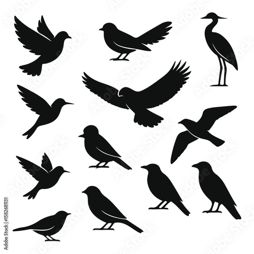 Bird silhouettes vector collection, a large set of various bird species icons like dove, eagle, and sparrow, isolated on white background.