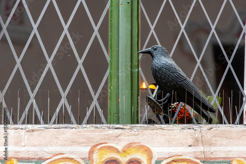 Bird Control Spikes on Window