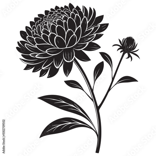 Black aster flower and bud silhouette vector