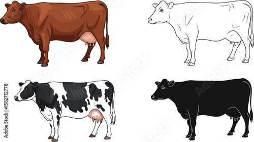 Four cow illustrations showcase different colors and line art styles nicely.