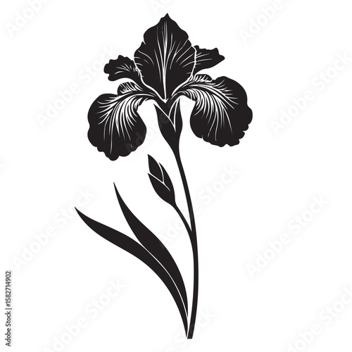 Black iris flower silhouette with bud and leaves white