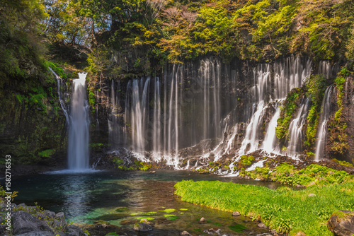 Shiraito Falls in Japan's Fuji Five Lakes region showcases cascading water over moss-covered cliffs.  A serene landscape of lush greenery and a tranquil pool at the base.