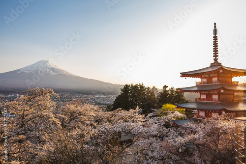 Majestic Mount Fuji in Japan, adorned with a blanket of cherry blossoms, is beautifully framed by a traditional red pagoda. This picturesque scene captures the essence of spring in Japan, offering a