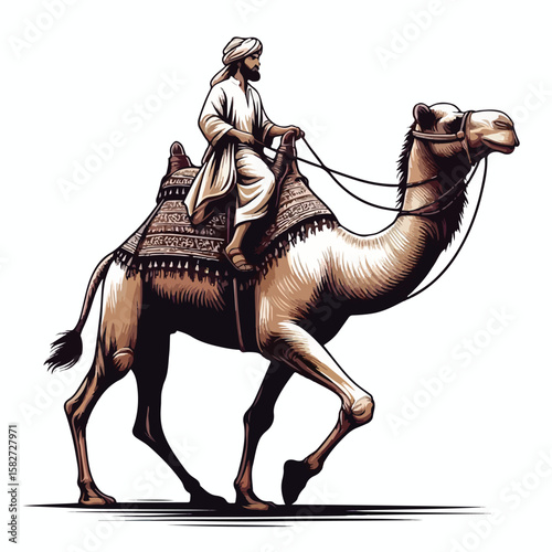 vector image of a person riding a camel