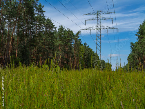 High-voltage power line tower crossing a forest clearing under a sunny sky. A contrast between technology and nature in a rural landscape