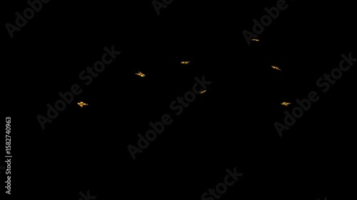 Looping Animation of Yellow Butterflies Flying with Alpha Channel on Black Background
