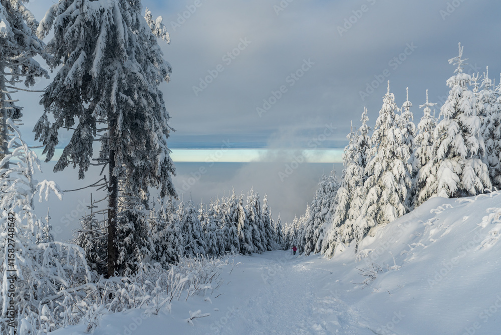Fototapeta premium Snow covered hiking trail to Lysa hora hill in Moravskoslezske Beskydy mountains in Czech republic