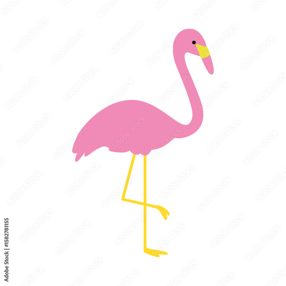 Fototapeta premium Toucan – Tropical Bird Illustration (Vector)