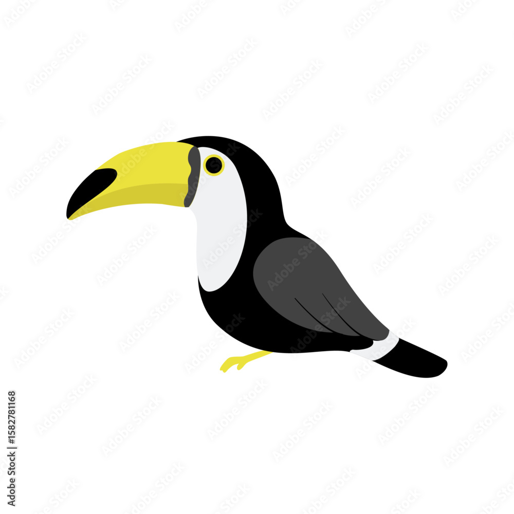 Fototapeta premium Toucan – Tropical Bird Illustration (Vector)