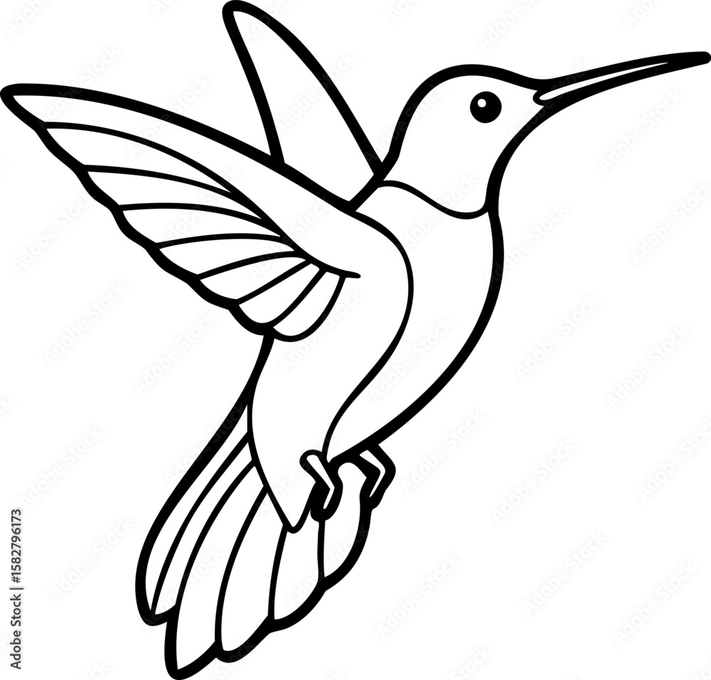 Obraz premium Hummingbird line art with detailed wings and long beak in simple black outline style, elegant and minimalistic bird illustration