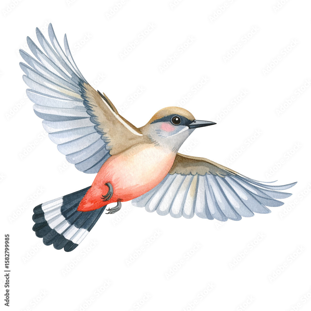 Fototapeta premium Watercolor Flight: Capture the essence of freedom with a meticulously crafted watercolor illustration of a bird in full flight, showcasing detailed feathers and dynamic movement.