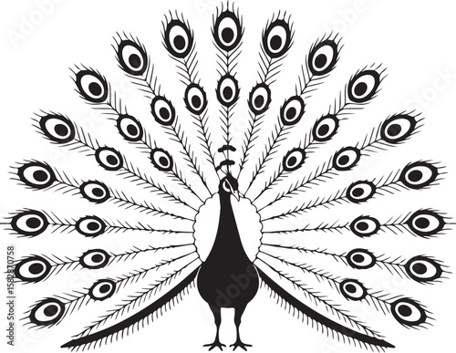  "Elegant Peacock with Detailed Feathers | Black and White Vector Design"