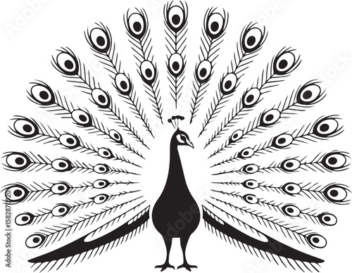  "Elegant Peacock with Detailed Feathers | Black and White Vector Design"