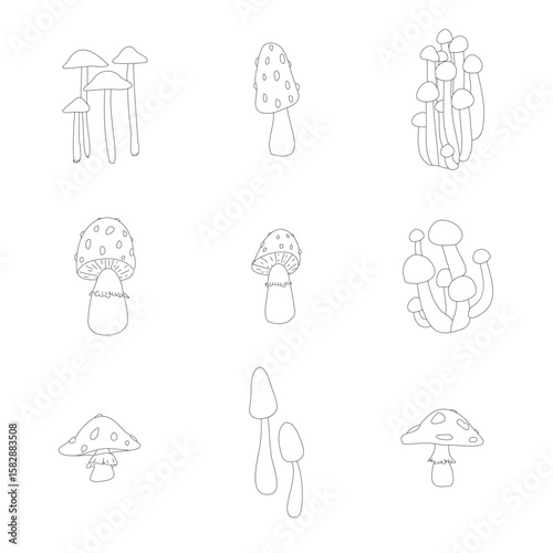 The mushrooms hand drawn doodle vector illustration in black and white. Toadstool and fly agaric set