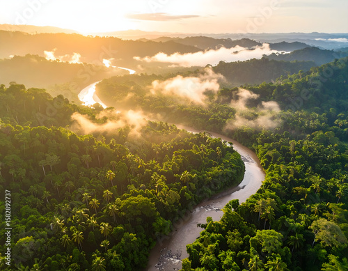 aerial view of the river